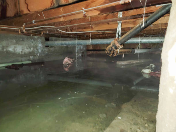 Best Carpet water damage restoration  in Chesapeake Ranch Estates, MD